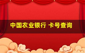 中国农业银行 卡号查询